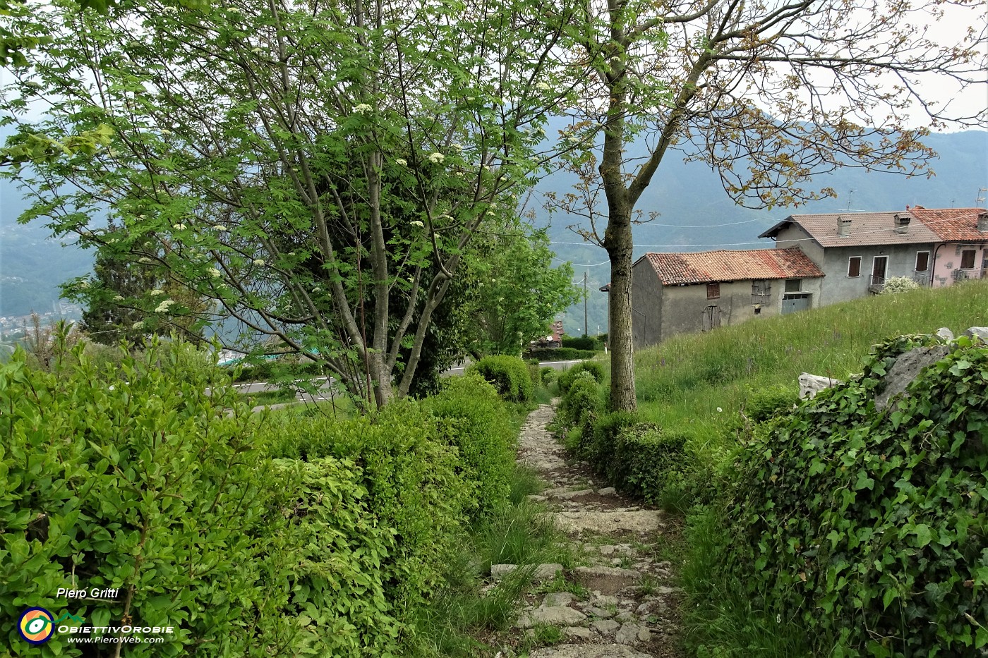 82 Arrivo tra verdi prati a Zergnone  (852 m).JPG